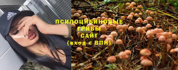 соль ск Богородицк