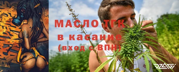 соль ск Богородицк