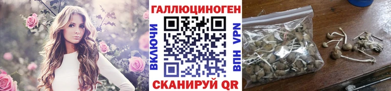 магазин  наркотиков  Мирный  Галлюциногенные грибы прущие грибы 